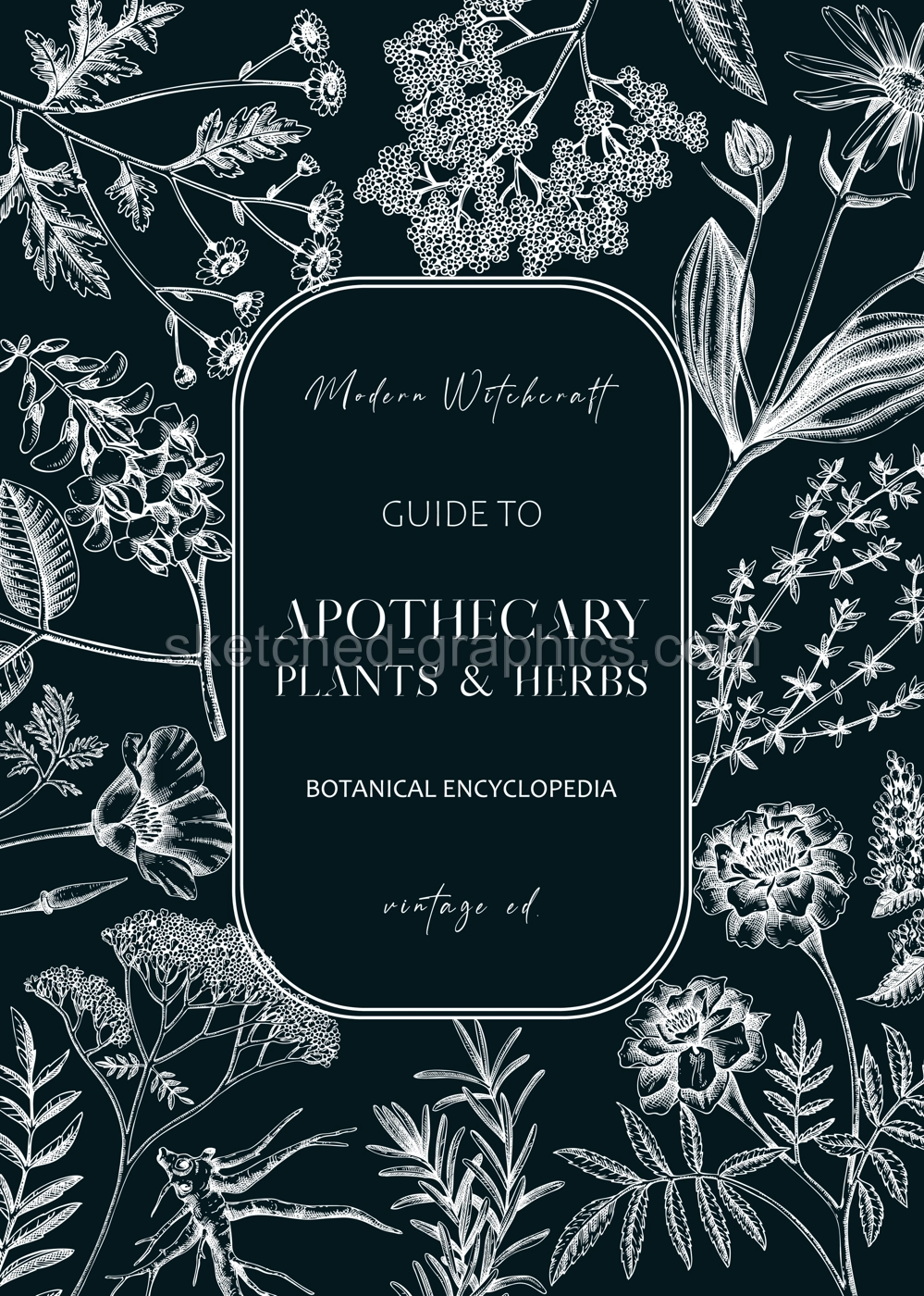 Apothecary plant frame design. Witchcraft background. Herbal remedies, medicinal plant, witch herbs, natural medicine hand-drawn vector illustration on chalkboard NOT AI genereted Illustration